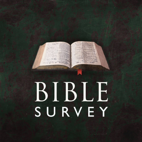 Bible Survey | Podcast | Biblical Blueprints